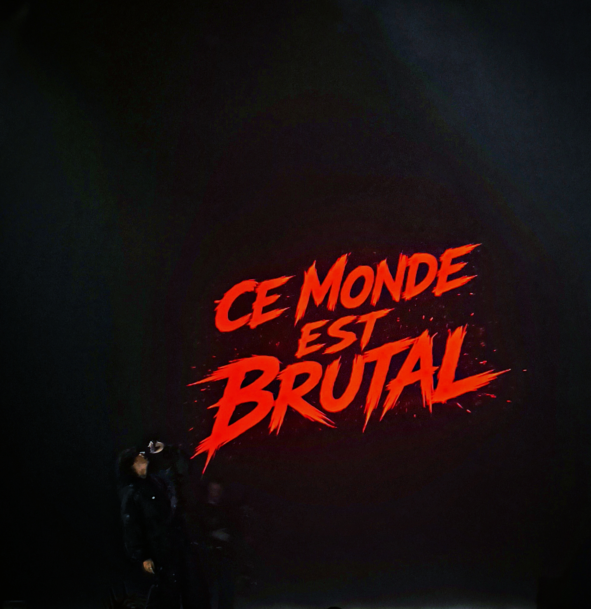 Photographie - galerie 